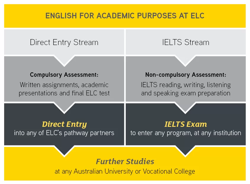 ELC Sydney EAP Program streams for university success